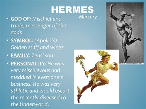 characteristics of hermes